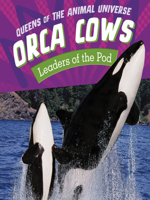 cover image of Orca Cows